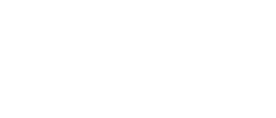 ZPro Logo
